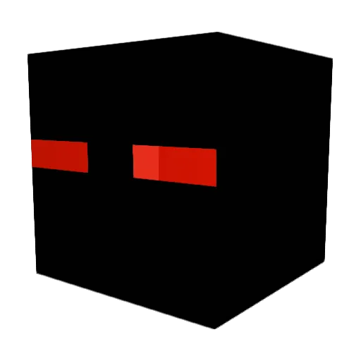 Wojtekmaz16 Minecraft avatar head, 3D render