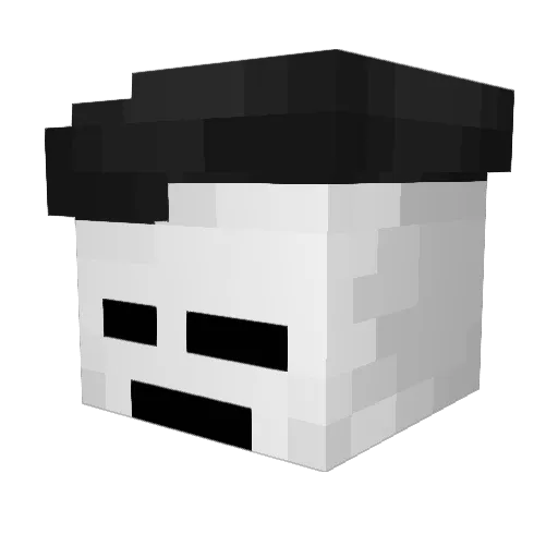 Wojteq1337 Minecraft avatar head, 3D render