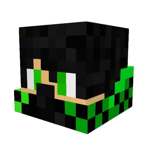 Wojter3000 Minecraft avatar head, 3D render
