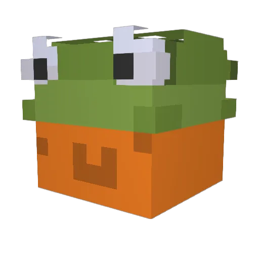 Wojti450 Minecraft avatar head, 3D render