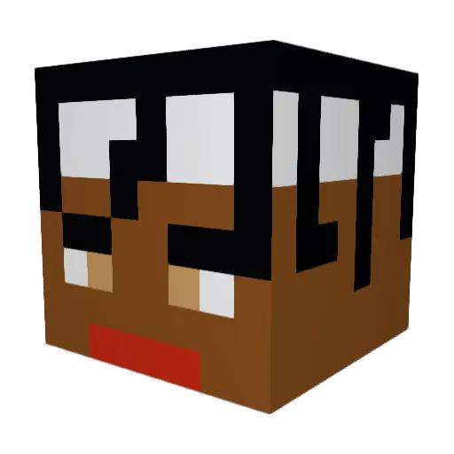 Wojtiii_ Minecraft avatar head, 3D render