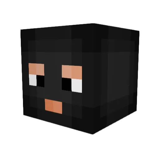 Wojto21 Minecraft avatar head, 3D render