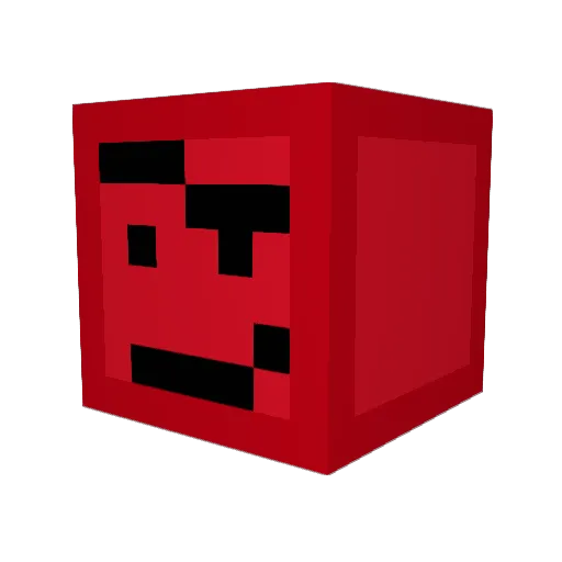 Wojtolek1234 Minecraft avatar head, 3D render