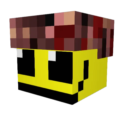 WokSipper4Real Minecraft avatar head, 3D render