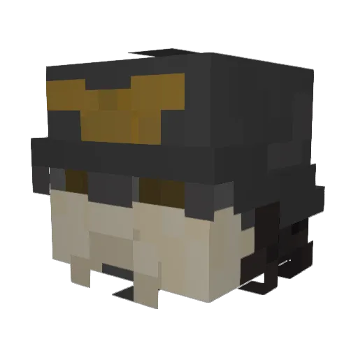 WokeAstartes Minecraft avatar head, 3D render