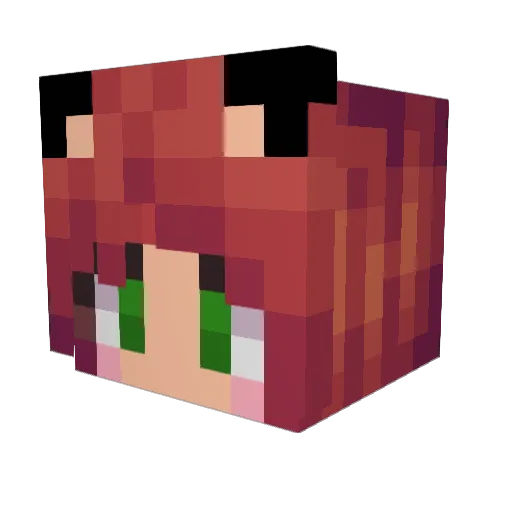 WokieCookie Minecraft avatar head, 3D render