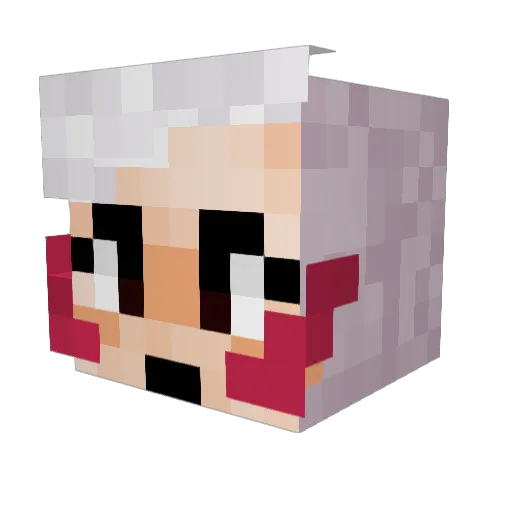 Wokker1 Minecraft avatar head, 3D render