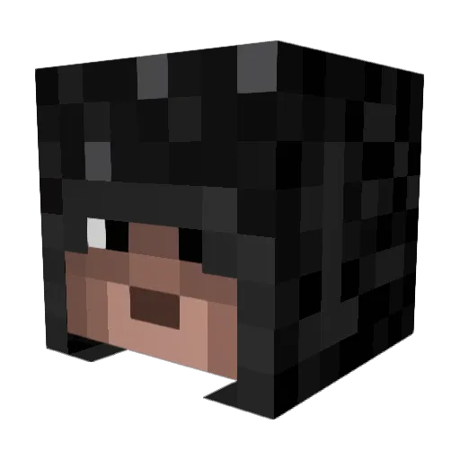 Wol4ara Minecraft avatar head, 3D render