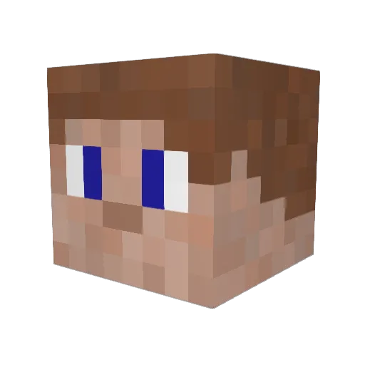 Wolasn Minecraft avatar head, 3D render