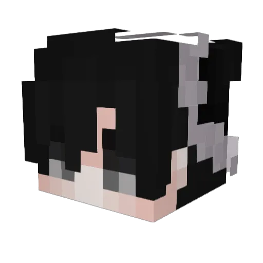 Wolbiae Minecraft avatar head, 3D render