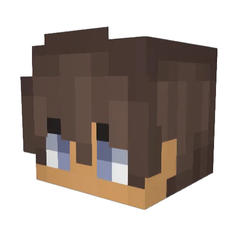 Wolf10133 Minecraft avatar head, 3D render