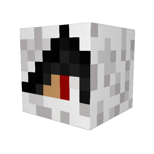 Wolf17670 Minecraft avatar head, 3D render