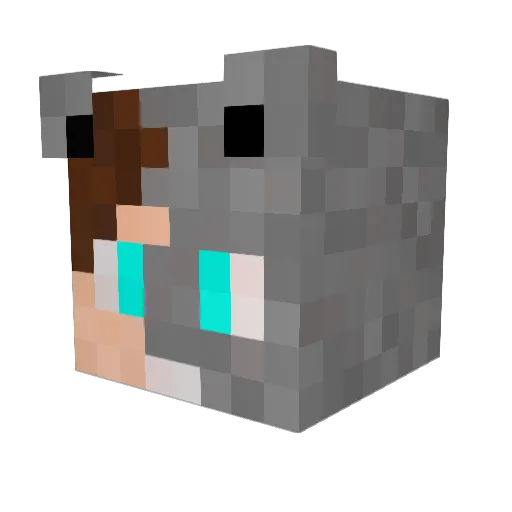 Wolf1991823 Minecraft avatar head, 3D render