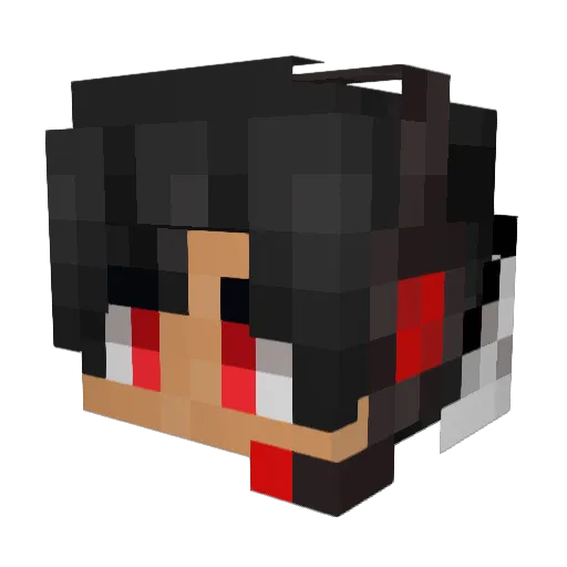 Wolf21Yt Minecraft avatar head, 3D render