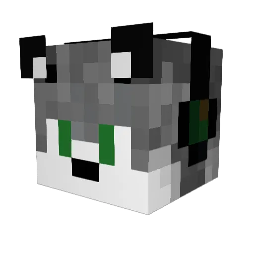 Wolf234 Minecraft avatar head, 3D render