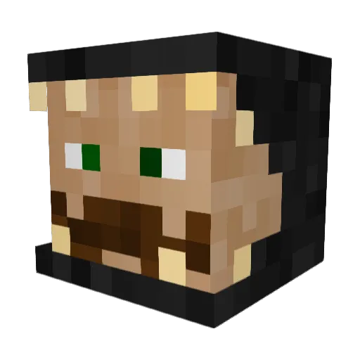 Wolf4848 Minecraft avatar head, 3D render