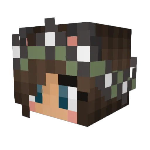 Wolf5309 Minecraft avatar head, 3D render