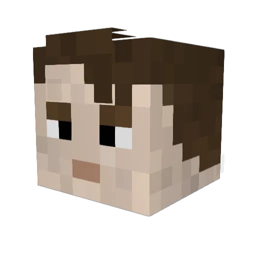 Wolf9220 Minecraft avatar head, 3D render