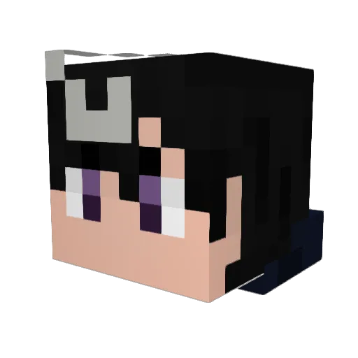 WolfAlan21 Minecraft avatar head, 3D render