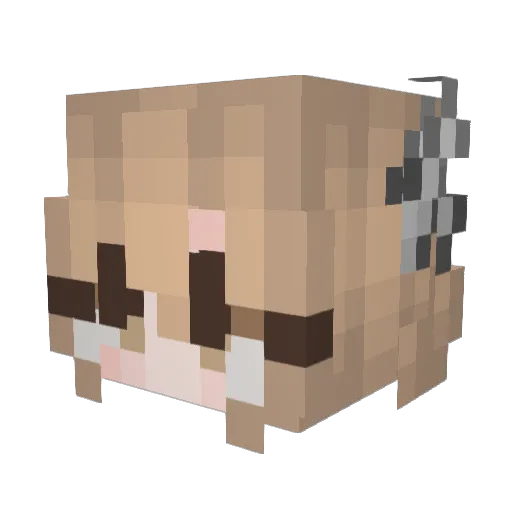 WolfAliceXoX Minecraft avatar head, 3D render