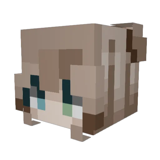 WolfAlina2007 Minecraft avatar head, 3D render