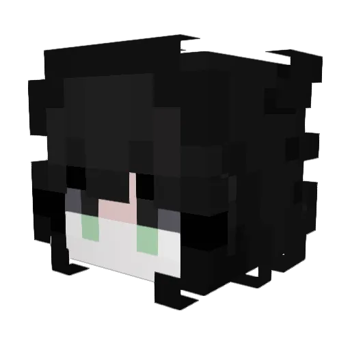 WolfBlood207 Minecraft avatar head, 3D render