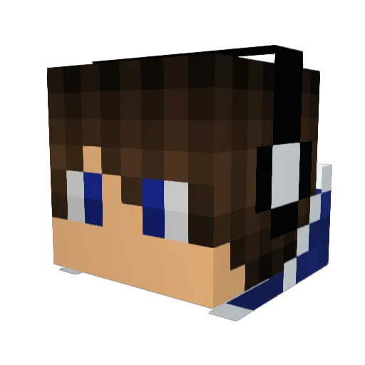 WolfBomber Minecraft avatar head, 3D render