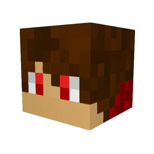 WolfBoy2007 Minecraft avatar head, 3D render