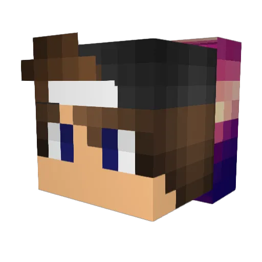 WolfBrarey Minecraft avatar head, 3D render