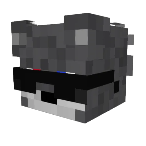 WolfChan2001 Minecraft avatar head, 3D render