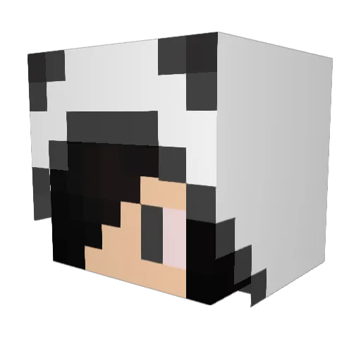 WolfDry Minecraft avatar head, 3D render