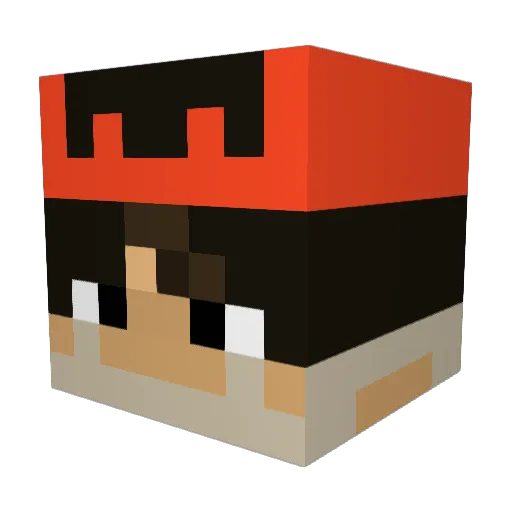 WolfEye19 Minecraft avatar head, 3D render