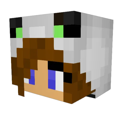 WolfFreak106 Minecraft avatar head, 3D render