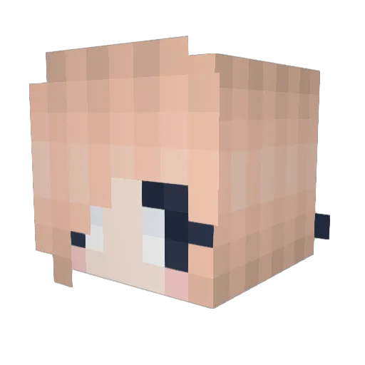 WolfGamer707 Minecraft avatar head, 3D render