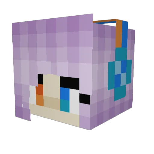 WolfGamer818 Minecraft avatar head, 3D render