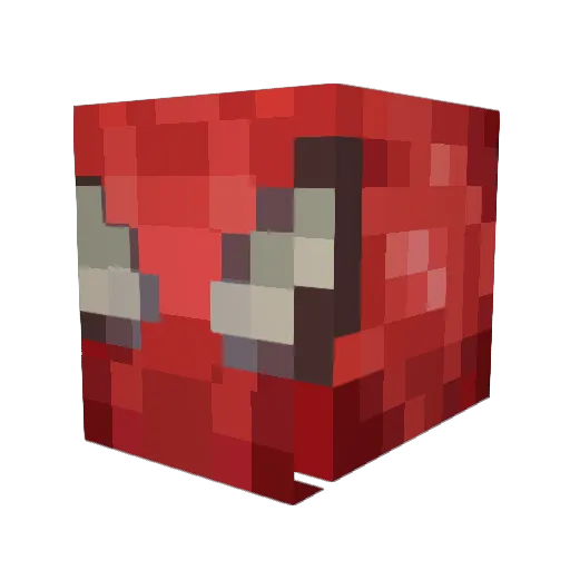 WolfGaming2563 Minecraft avatar head, 3D render