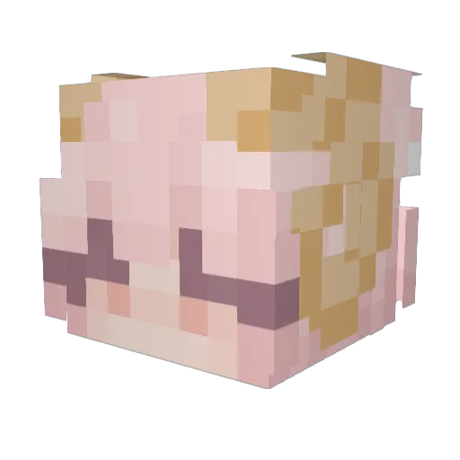 WolfGirlFluffy Minecraft avatar head, 3D render