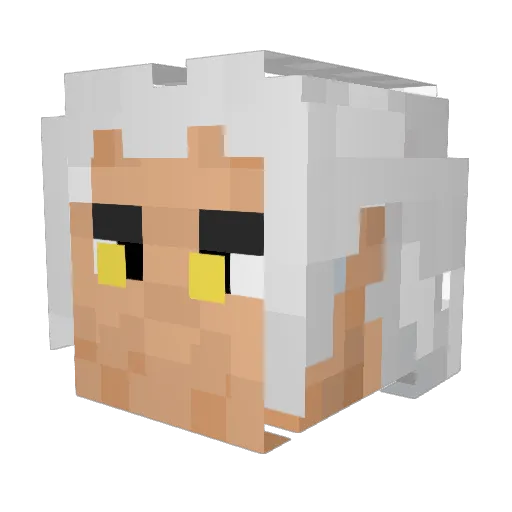 WolfHunter84 Minecraft avatar head, 3D render