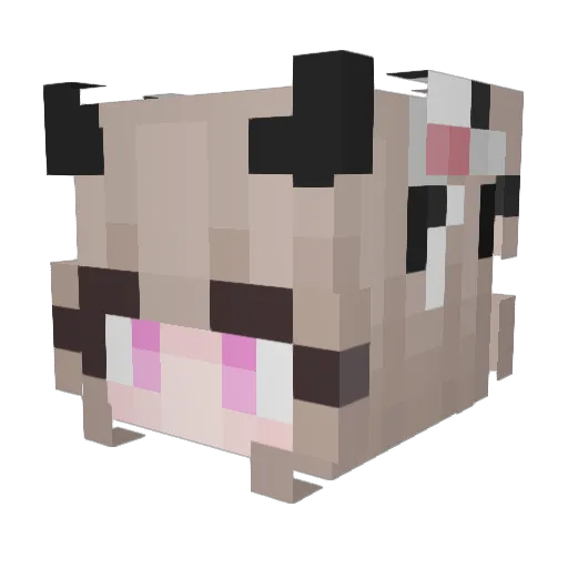 WolfHuntress212 Minecraft avatar head, 3D render