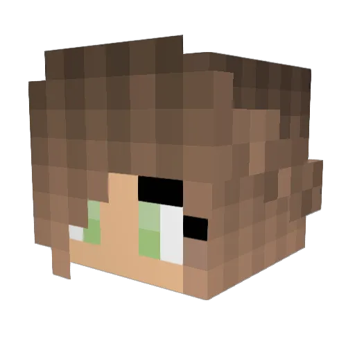 WolfLover37 Minecraft avatar head, 3D render