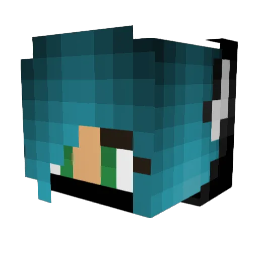 WolfManiac852 Minecraft avatar head, 3D render