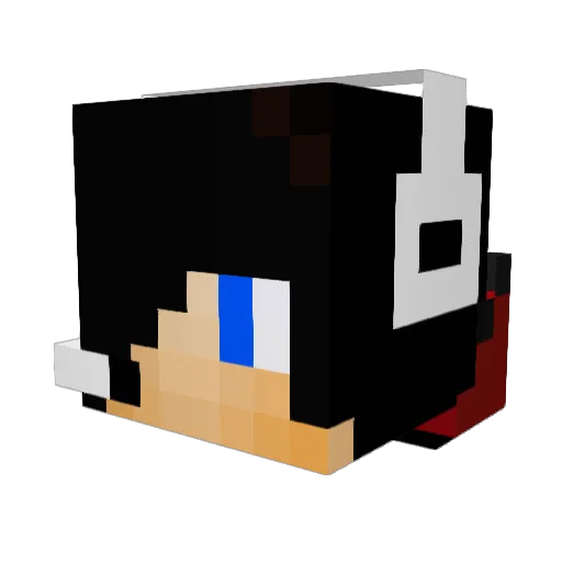 WolfNinja14 Minecraft avatar head, 3D render