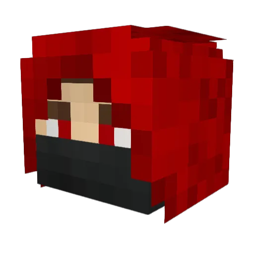 WolfNinja355 Minecraft avatar head, 3D render