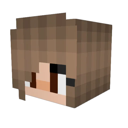 WolfOnTheWall Minecraft avatar head, 3D render