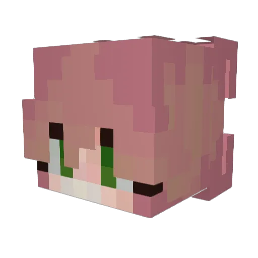 WolfQueen_Nerys Minecraft avatar head, 3D render