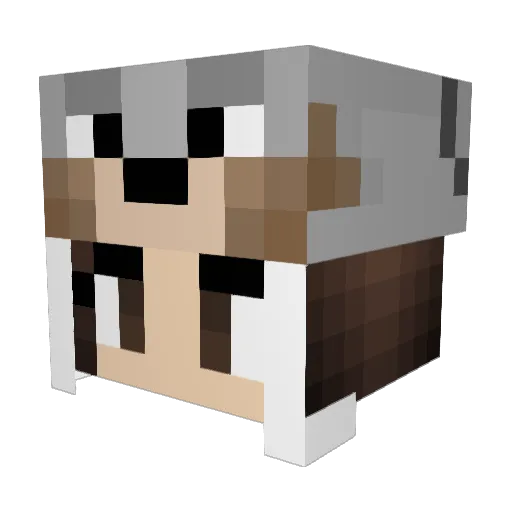 WolfRainsMC Minecraft avatar head, 3D render