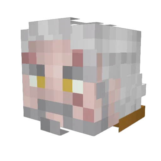 WolfSarter Minecraft avatar head, 3D render