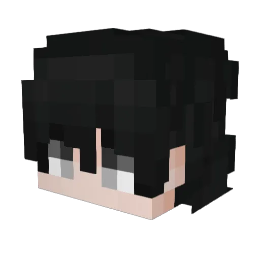 WolfShadow1509 Minecraft avatar head, 3D render
