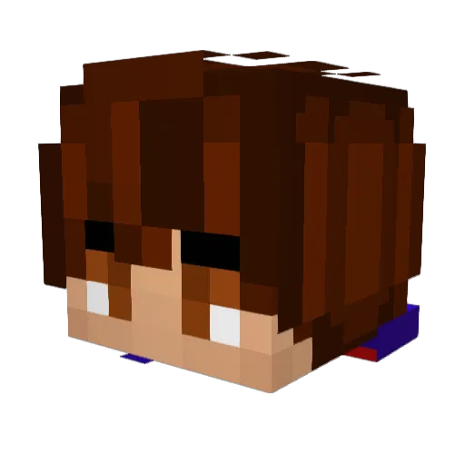 WolfSlayer126 Minecraft avatar head, 3D render