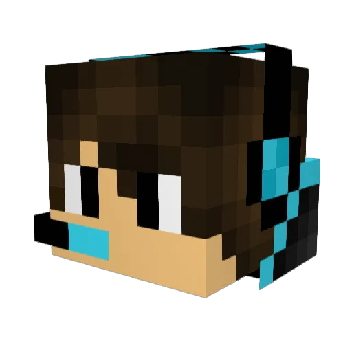 WolfSokka Minecraft avatar head, 3D render